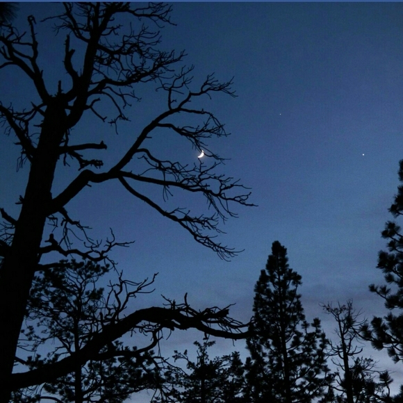 Meet your Posher, Desert Dream Dress - Picture 2 of 6